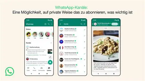 WhatsApp图片下载困难？这些实用技巧帮你搞定！