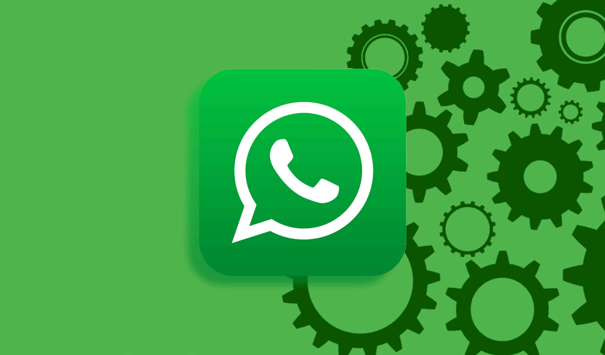 WhatsApp加好友全攻略：从手动输入到自动同步
